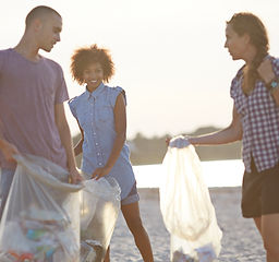 Volunteers Collecting Trash on Beach